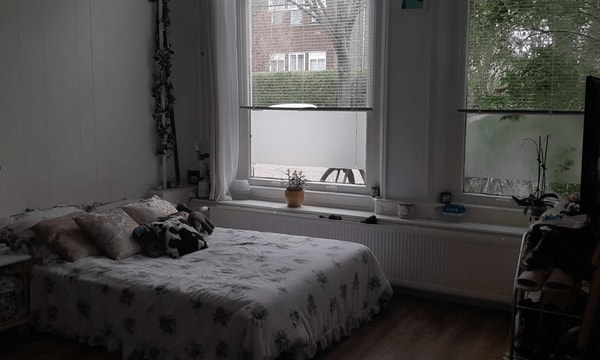 Kamer | 19m² | €545,-