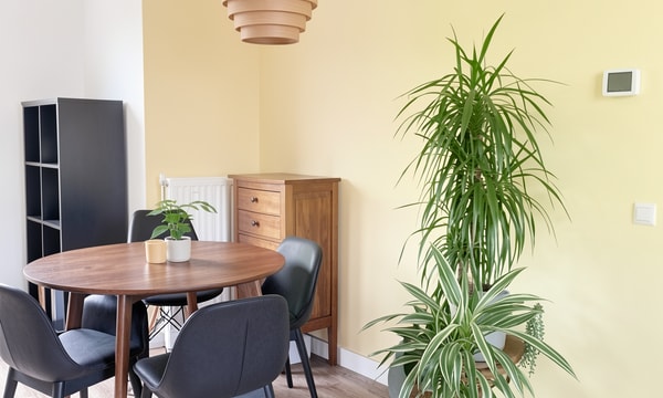 Appartement | 67m² | €1100,-