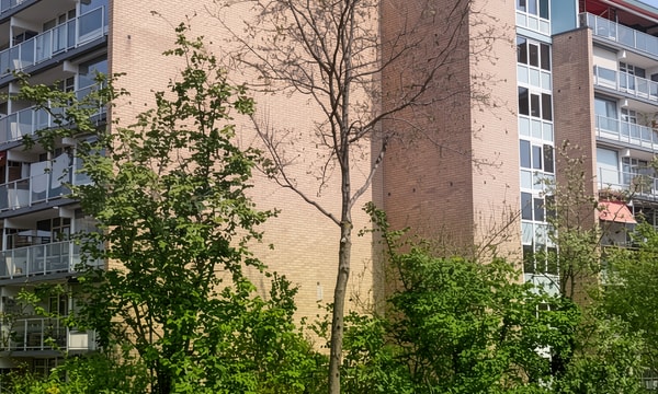 Huis | 66m² | €766,-