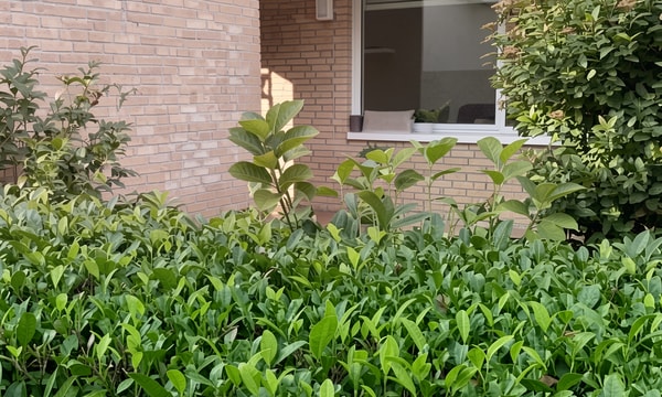 Huis | 48m² | €796,-