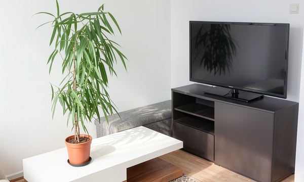 Appartement | 65m² | €1500,-