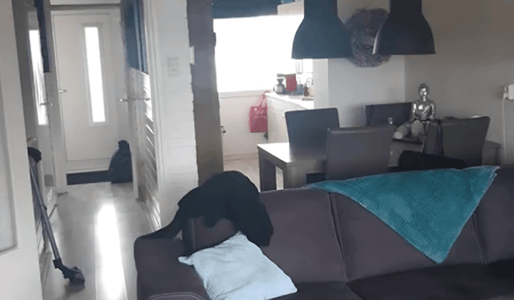 Appartement met Balkon en Woningruil