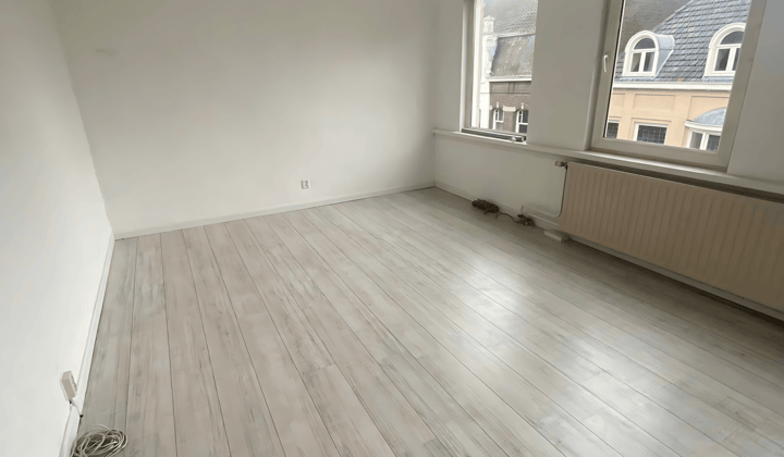 Gestoffeerde studio met eigen badkamer en keuken