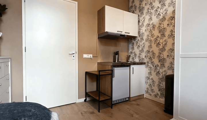 Gestoffeerde studio met eigen badkamer en keuken