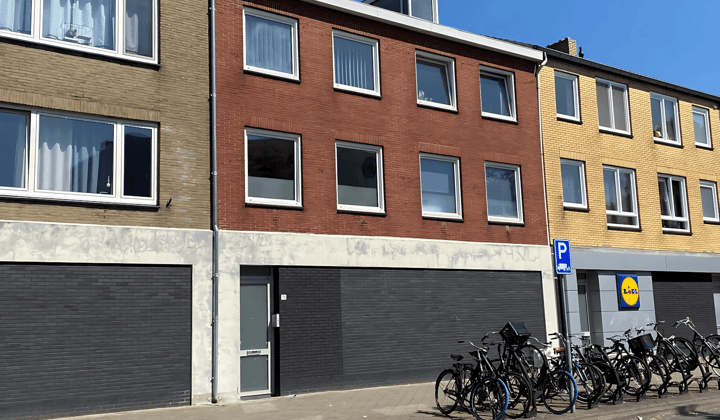 Gestoffeerde studio met eigen badkamer en keuken