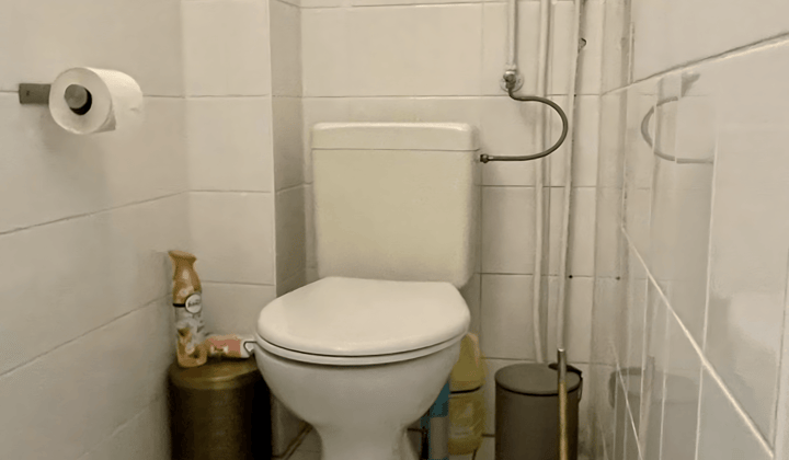 Gestoffeerd 2-kamer appartement met gemeenschappelijk dakterras