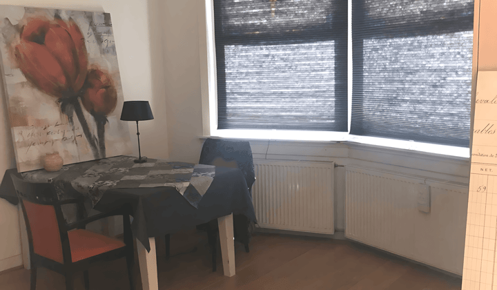 Gemeubileerde studio met luxe badkamer en inclusief wifi