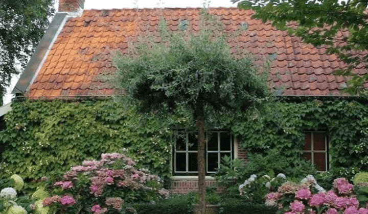 Gestoffeerd appartement met 2 slaapkamers en zonder huisdieren