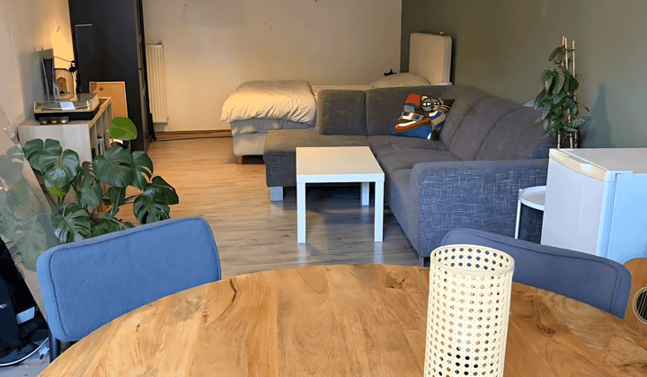 Grote kamer met gedeelde tuin en gestoffeerd