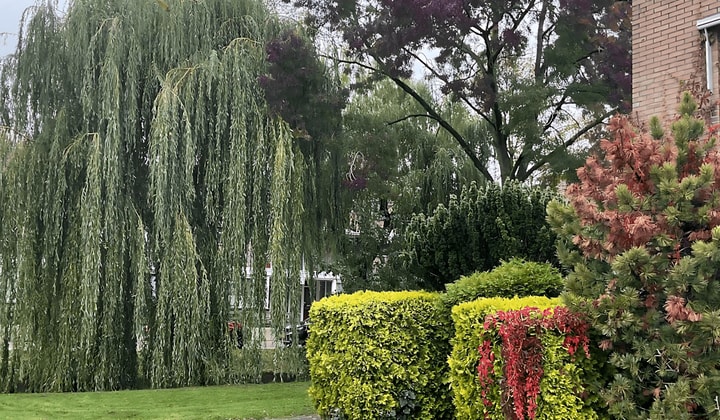 Kamer | 12m² | €300,-