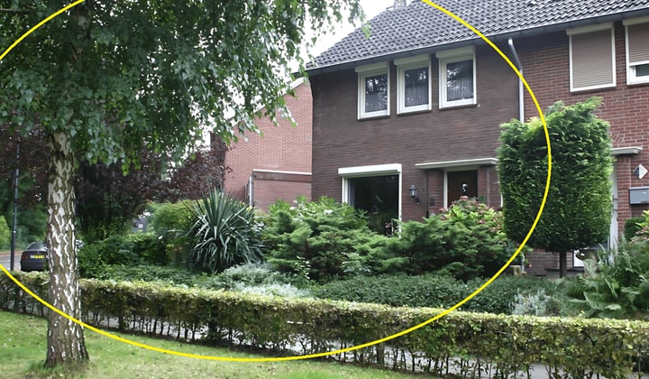 Huis | Lupinestraat | €1275,-