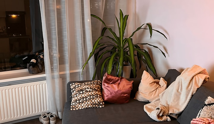 Studio | 35m² | Beethovenlaan | €630,-