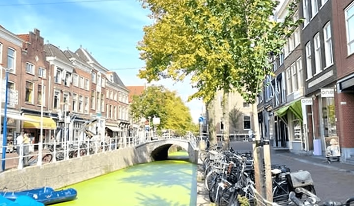 Studio | m² | €725,-