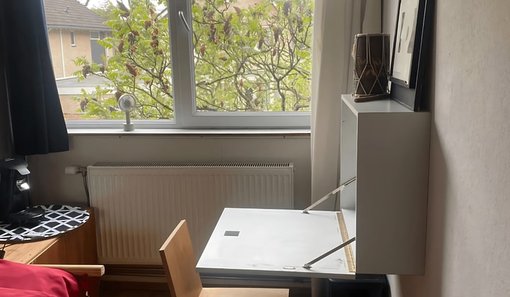 Kamer | 28m² | Floris Burgwal | €1400,-