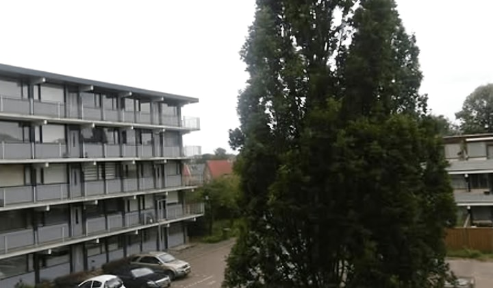 Huis | 90m² | Meidoornweg | €2750,-