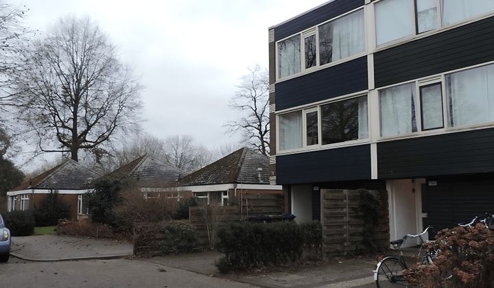 Kamer | 22m² | Dovenetel | €455,-