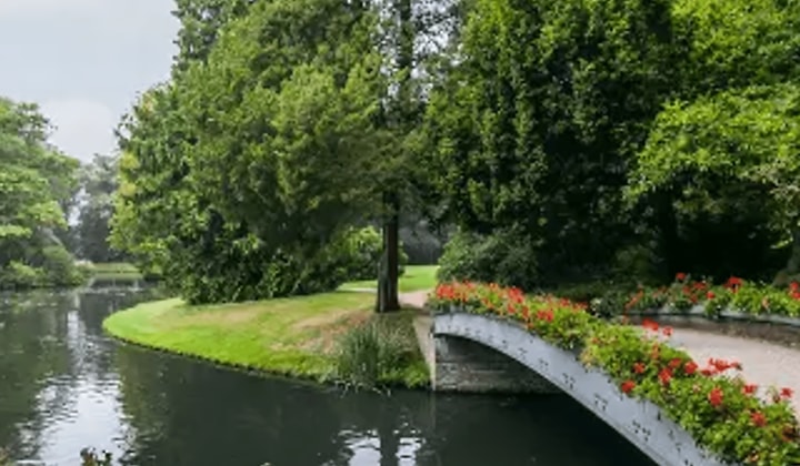 Bedrijfsruimte | 21m² | Gasthuislaan | €310,-