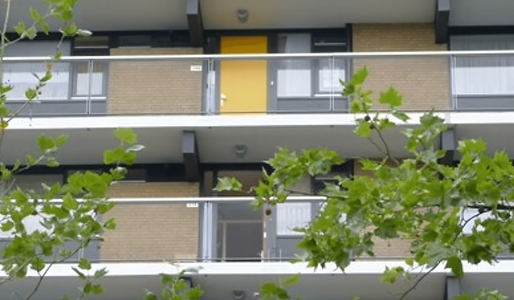 Appartement | Gentiaanstraat | €764,-