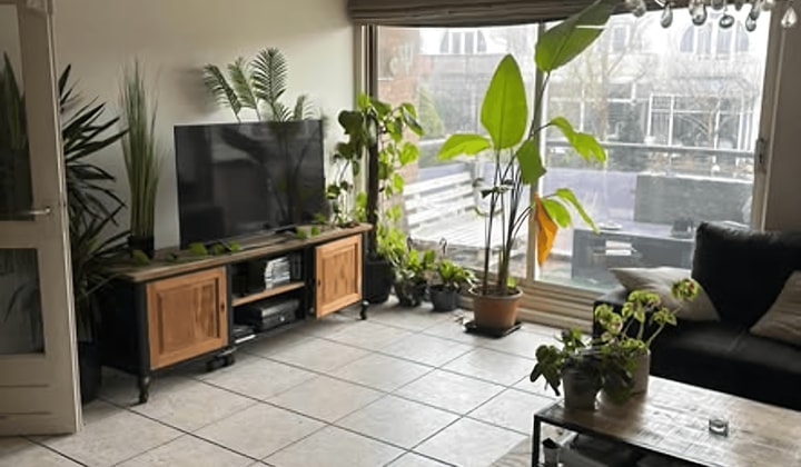 Kamer | 13m² | €703,-