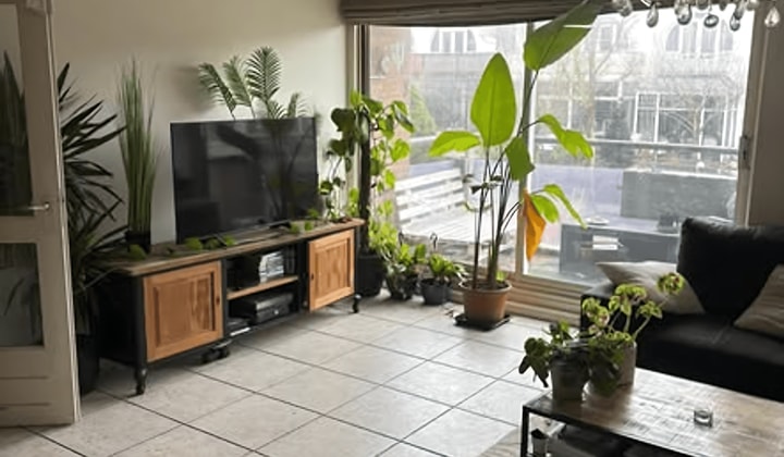 Kamer | 13m² | €703,-