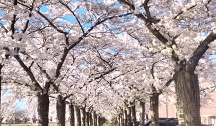 Huis | 72m² | €625,-