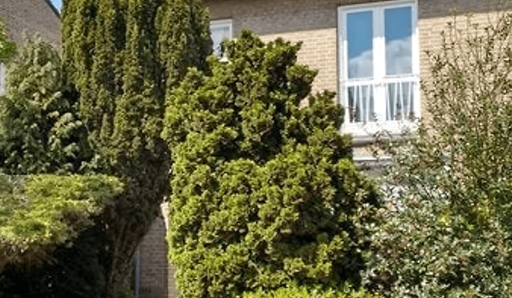 Huis | 116m² | €1670,-