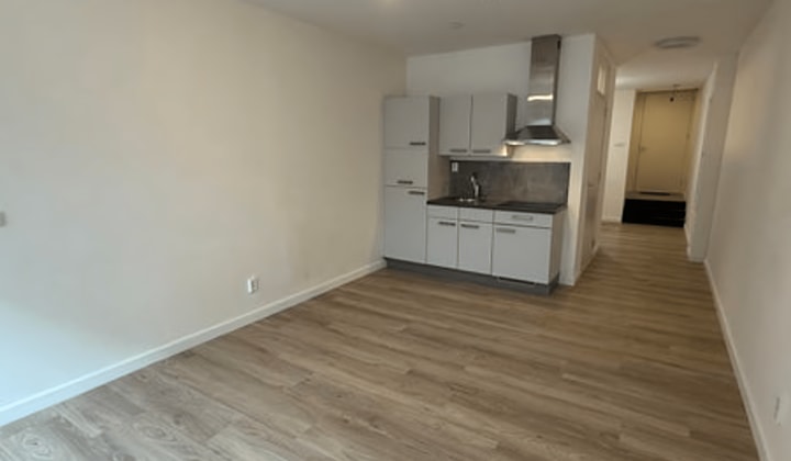 Studio | 46m² | Steenweg | €1190,-