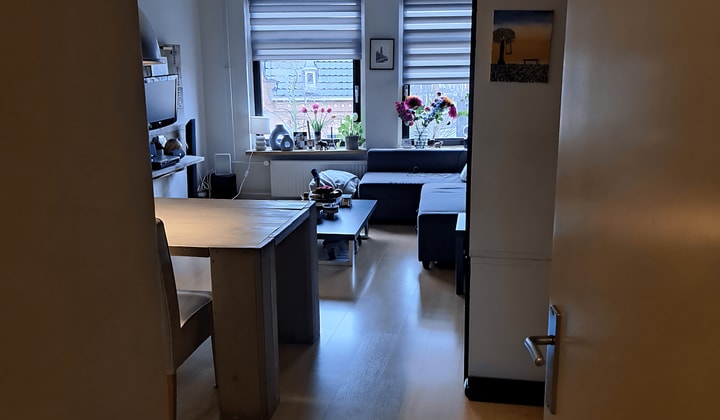 Huis | 50m² | Biltstraat | €1347,-