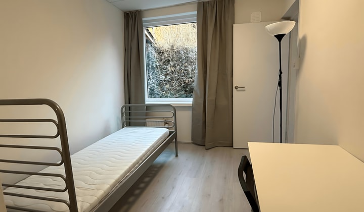 Kamer | 38m² | Navolaan | €485,-