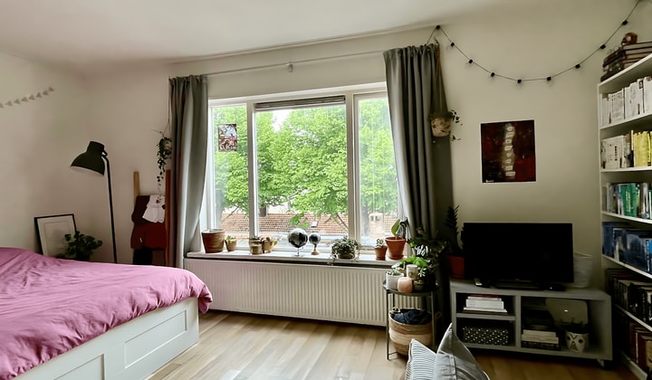 Kamer | 29m² | Tweede Willemstraat | €1050,-