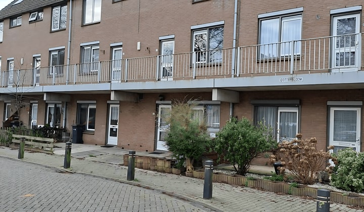 Huis | Dotterbloem | €666,-