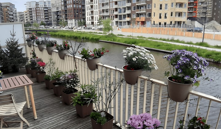 Appartement | 24m² | €1160,-