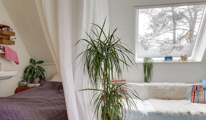 Kamer | 16m² | Krakelingweg | €585,-