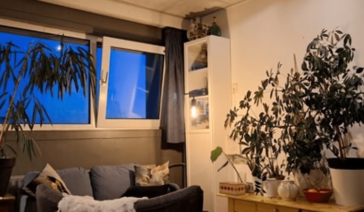 Kamer | 29m² | €515,-