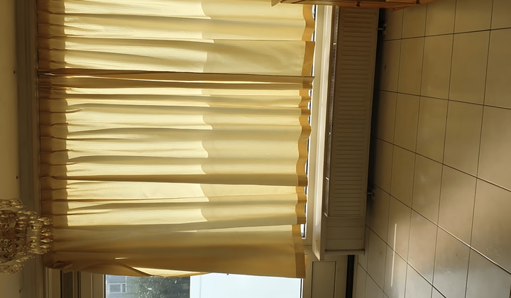 Kamer | 16m² | Trumanlaan | €900,-