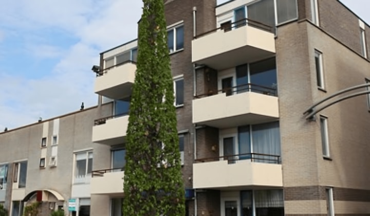 Appartement | Ida Gerhardtsingel | €764,-