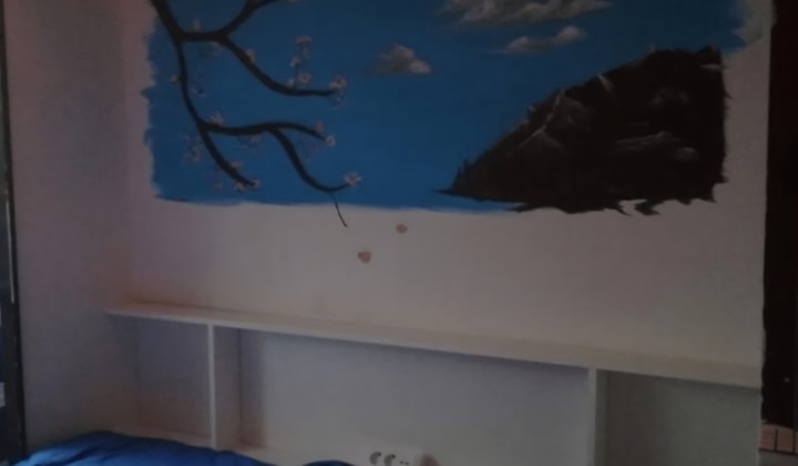 Kamer | 18m² | €650,-