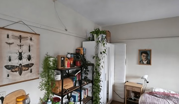 Kamer | 15m² | €370,-