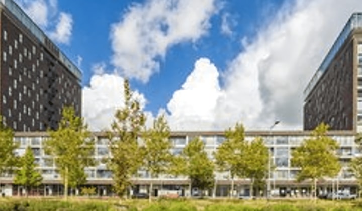 Appartement | 42m² | Het Hout | €926,-