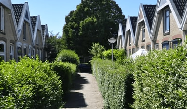 Kamer | 26m² | €450,-