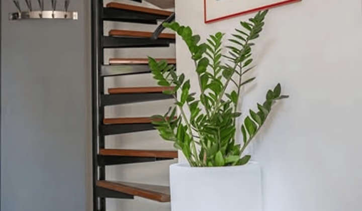 Studio | m² | €800,-