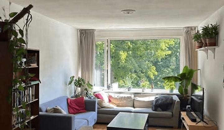 Kamer | 12m² | €450,-