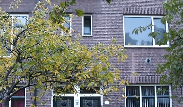 Kamer | 20m² | €499,-