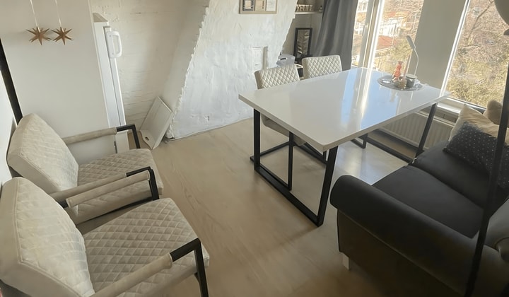 Kamer | 19m² | Professor Rankestraat | €590,-