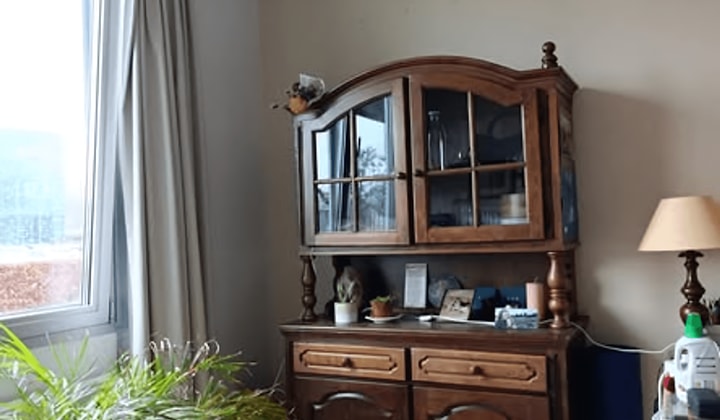 Kamer | 17m² | €436,-