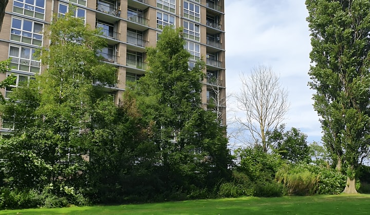 Appartement | 78m² | Lisdoddelaan | €1800,-