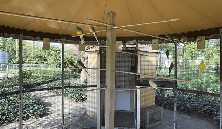 Huis | 53m² | €835,-