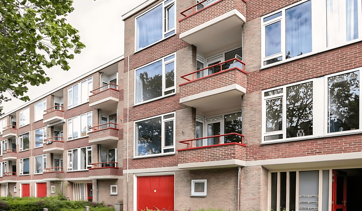 Gemeubileerde kamer zonder huisdieren, alleen voor vrouwen