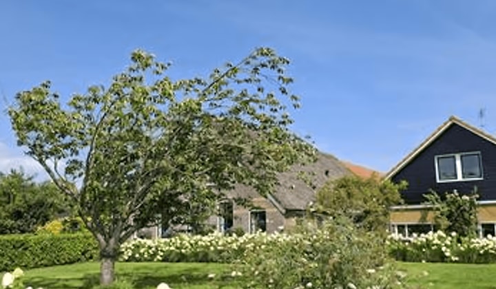 Kamer | 145m² | €1650,-