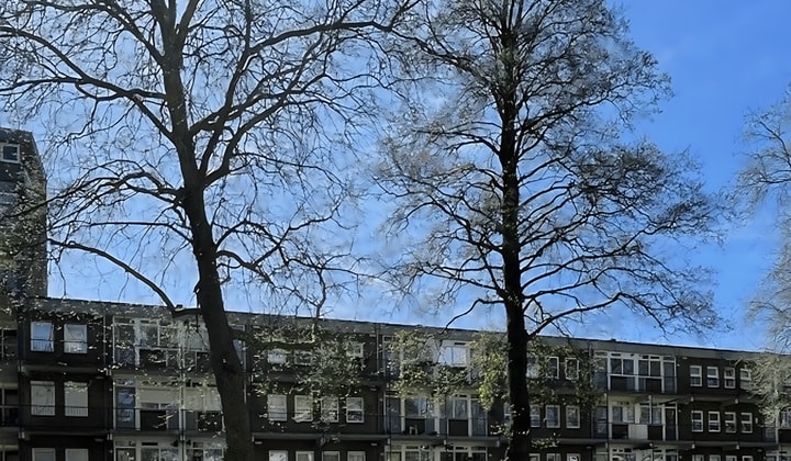 Appartement met Balkon en 2 Kamers